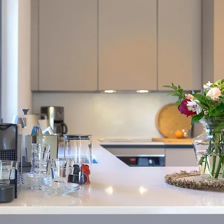 Awesome In With Kitchen Bašanija