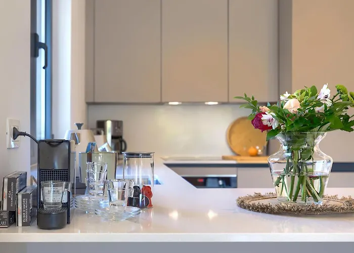 Awesome In With Kitchen Bašanija